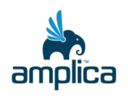 Хостинг Amplica.Md