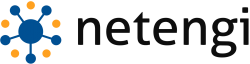 Хостинг Netengi.Com