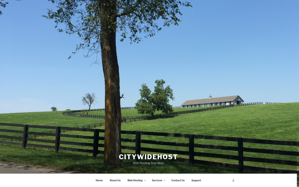 Хостинг Citywidehost.Com