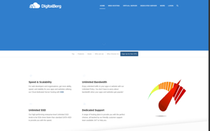 Хостинг Digitalberg.Com