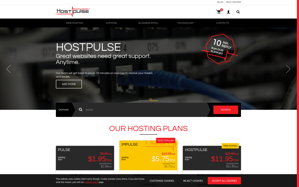 Хостинг Hostpulse.Net